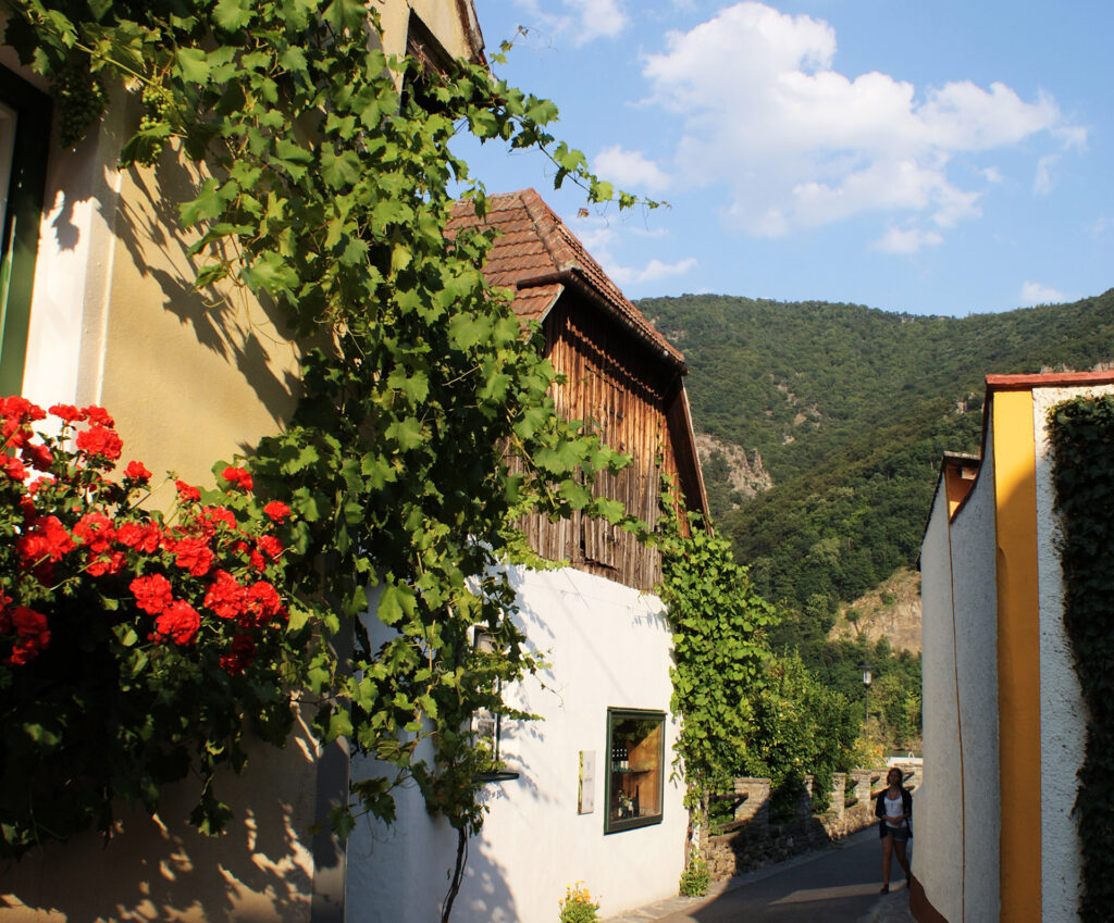 Viinimatka Wieniin Tonavan laakso