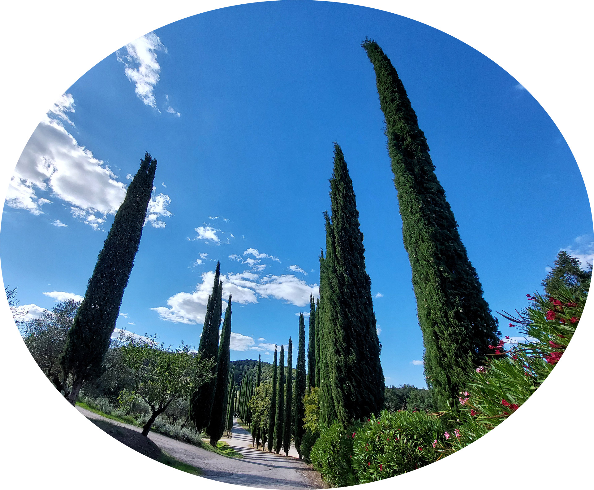 Toscana-pyoraillen-maisemat